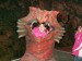25.3.2007 091.jpg